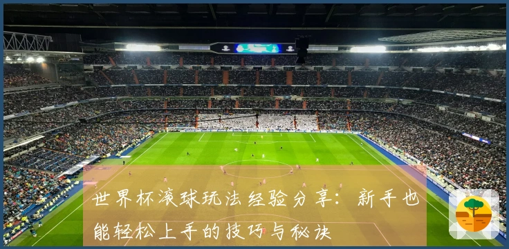 世界杯滚球玩法经验分享：新手也能轻松上手的技巧与秘诀