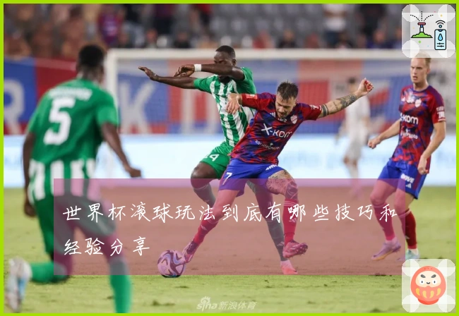 世界杯滚球玩法到底有哪些技巧和经验分享