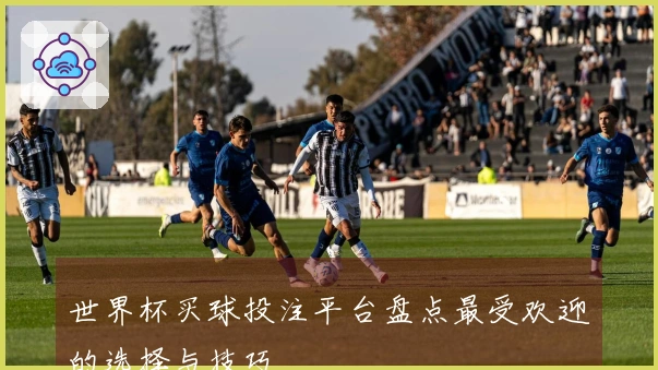 世界杯买球投注平台盘点最受欢迎的选择与技巧
