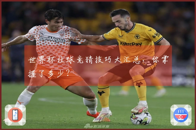 世界杯让球竞猜技巧大汇总，你掌握了多少？