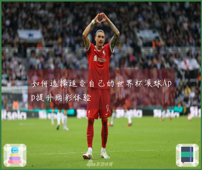 如何选择适合自己的世界杯滚球App提升购彩体验