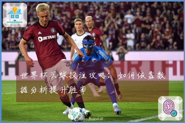 世界杯买球投注攻略：如何依靠数据分析提升胜率