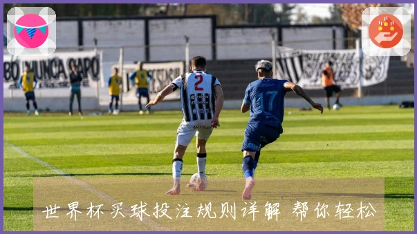世界杯买球投注规则详解 帮你轻松理解下注策略