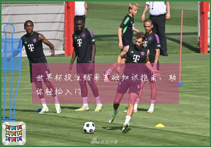世界杯投注赔率基础知识指南，助你轻松入门