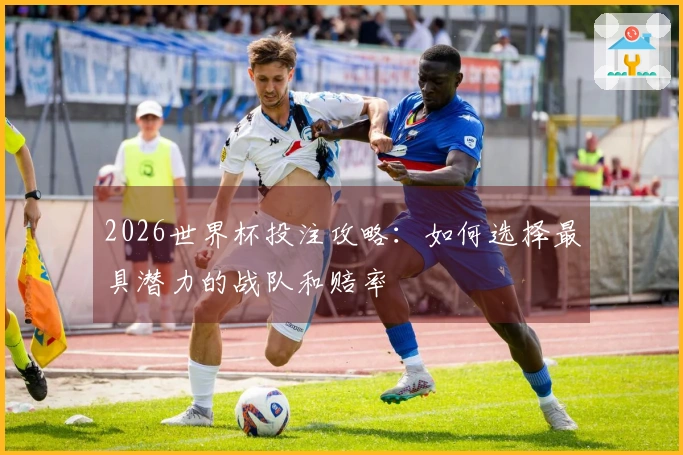 2026世界杯投注攻略：如何选择最具潜力的战队和赔率