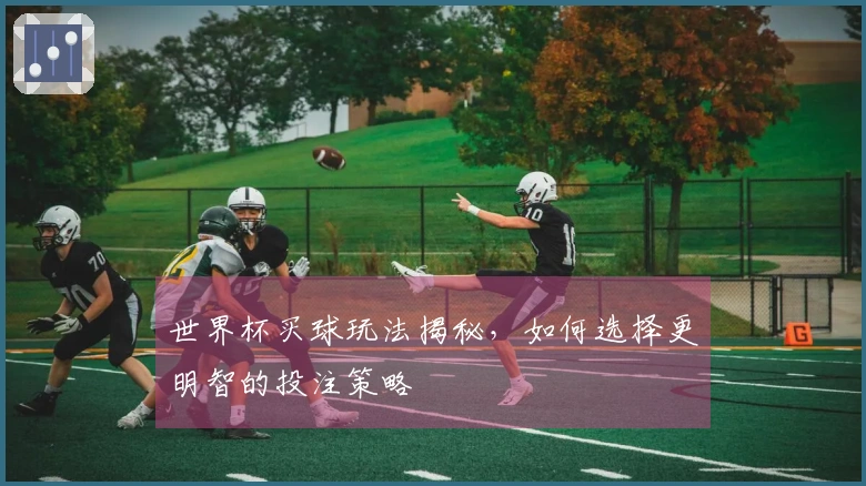 世界杯买球玩法揭秘，如何选择更明智的投注策略