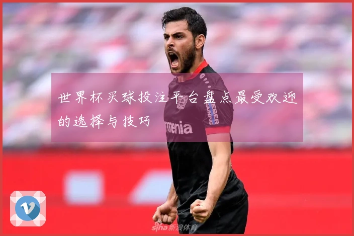 世界杯买球投注平台盘点最受欢迎的选择与技巧