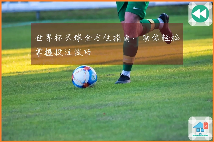 世界杯买球全方位指南，助你轻松掌握投注技巧