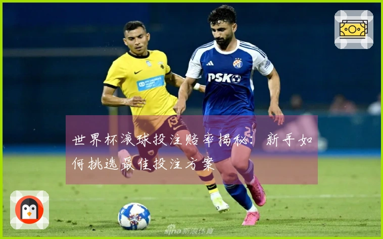 世界杯滚球投注赔率揭秘：新手如何挑选最佳投注方案